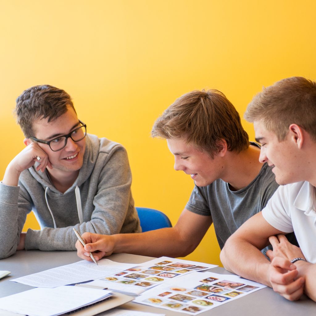 Nelson English Centre, English School in Nelson, New Zealand - Academic Programs