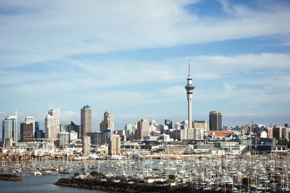 Scenic view of New Zealand cityscape, illustrating the opportunity to study abroad in New Zealand and learn about visas, costs, and safety.